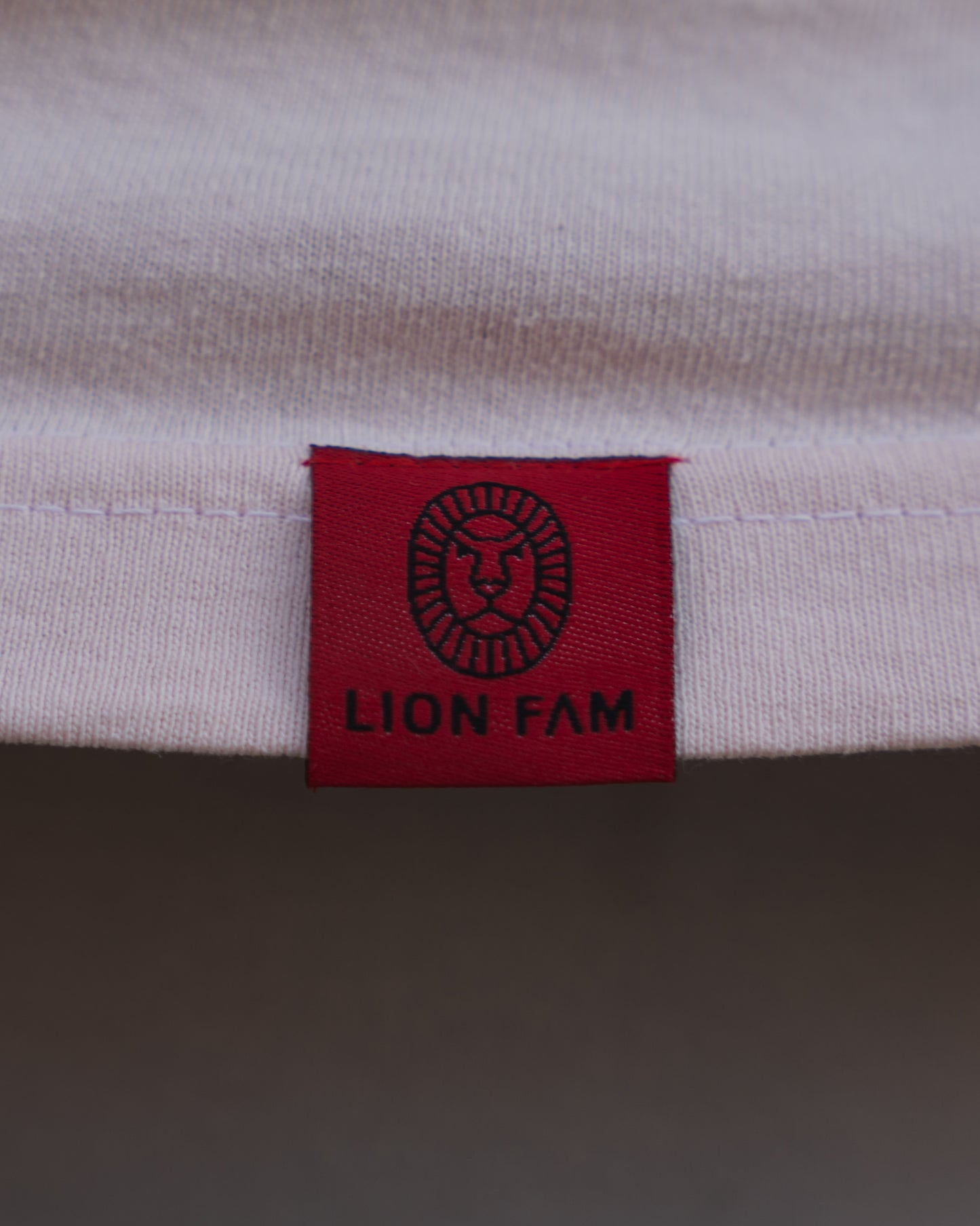 LION FAM T SHIRT